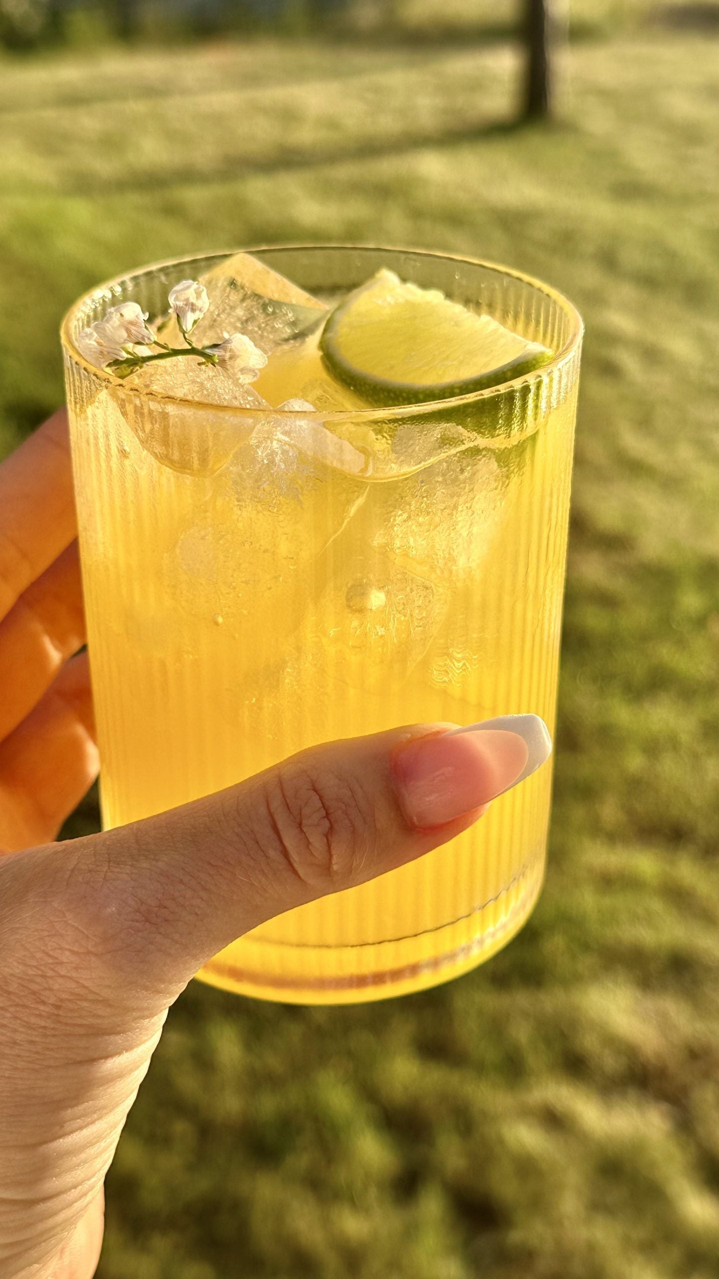 Tropisk Limo - Alkoholfri